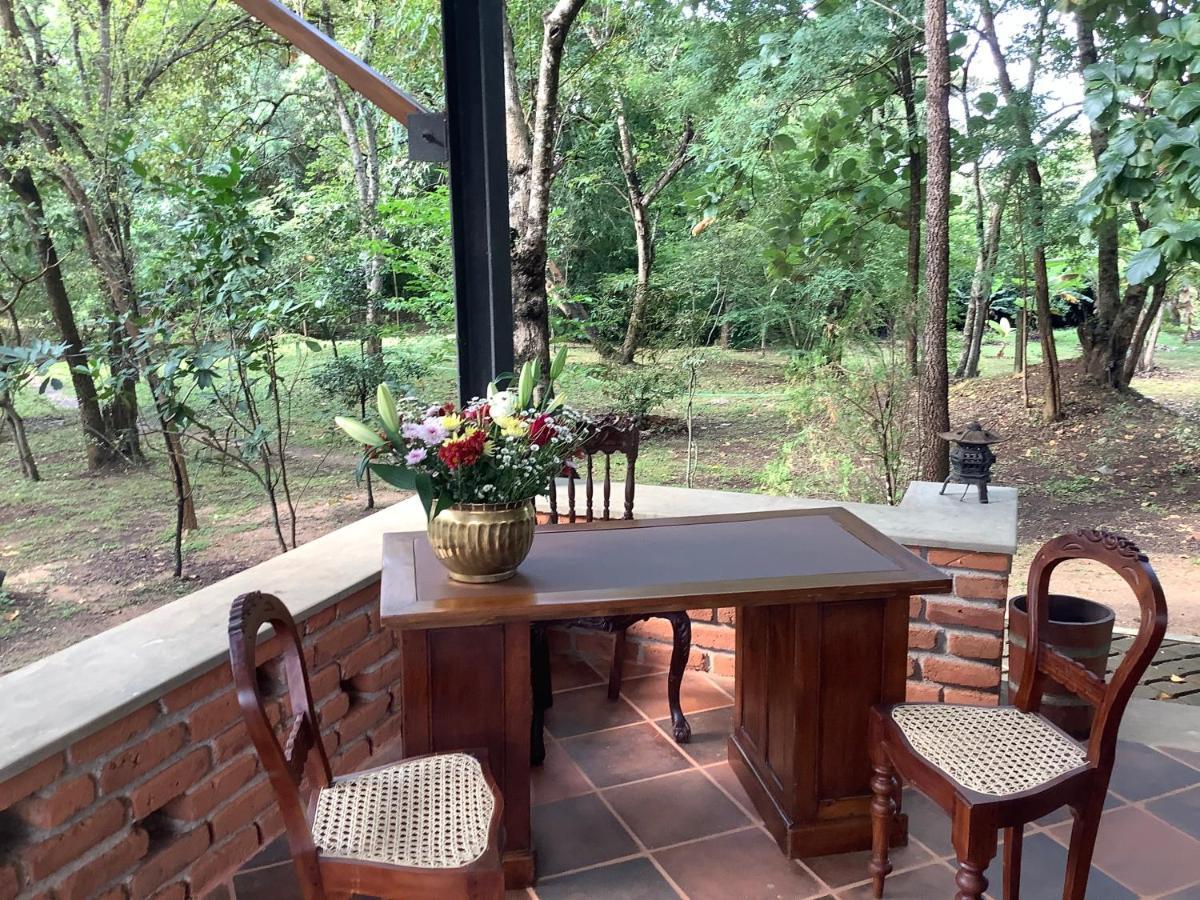 Mind Body And Soul Hotel Dambulla Ngoại thất bức ảnh