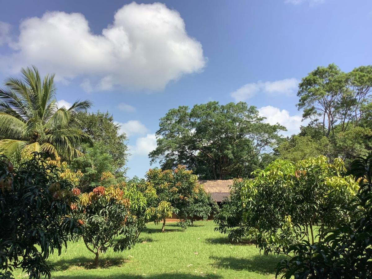 Mind Body And Soul Hotel Dambulla Ngoại thất bức ảnh
