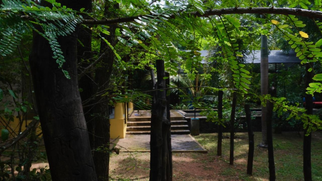 Mind Body And Soul Hotel Dambulla Ngoại thất bức ảnh