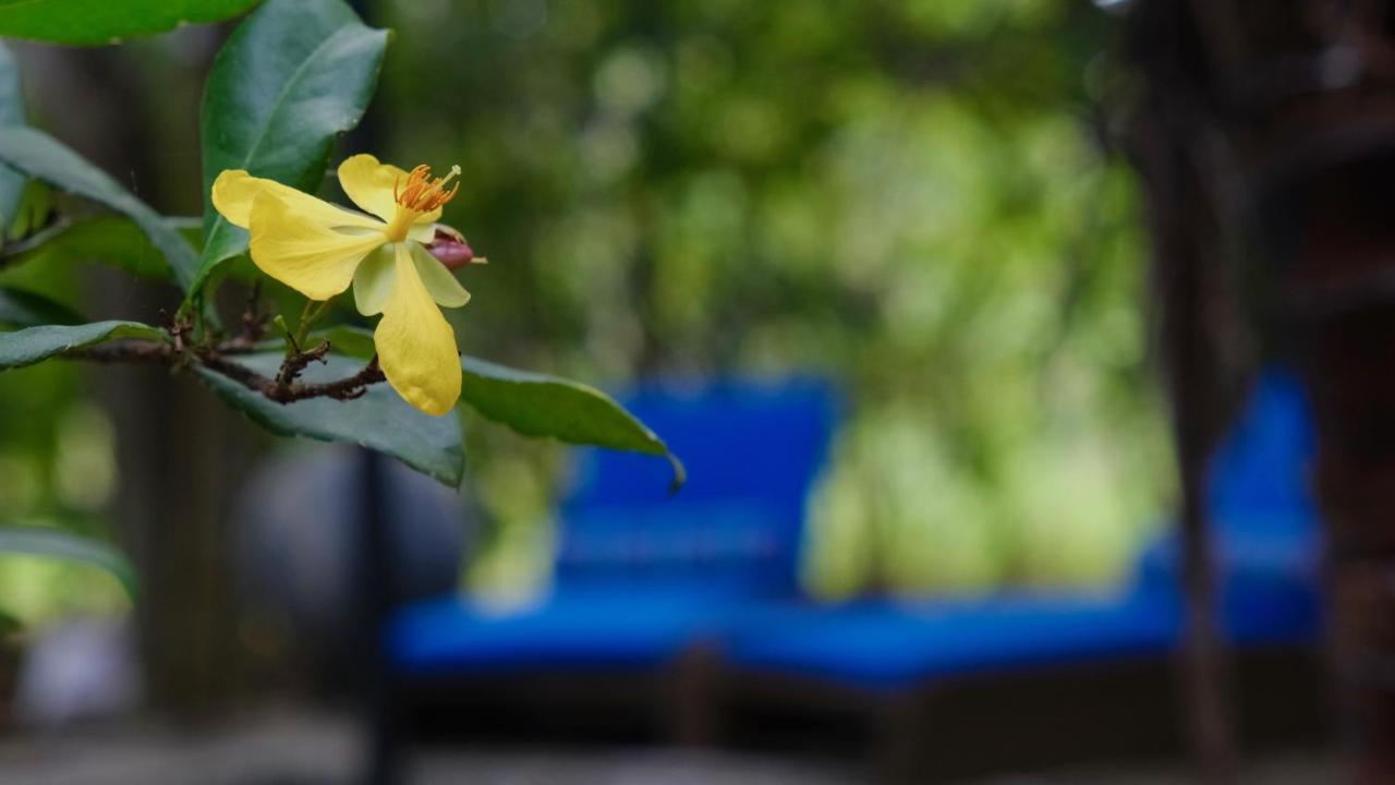 Mind Body And Soul Hotel Dambulla Ngoại thất bức ảnh