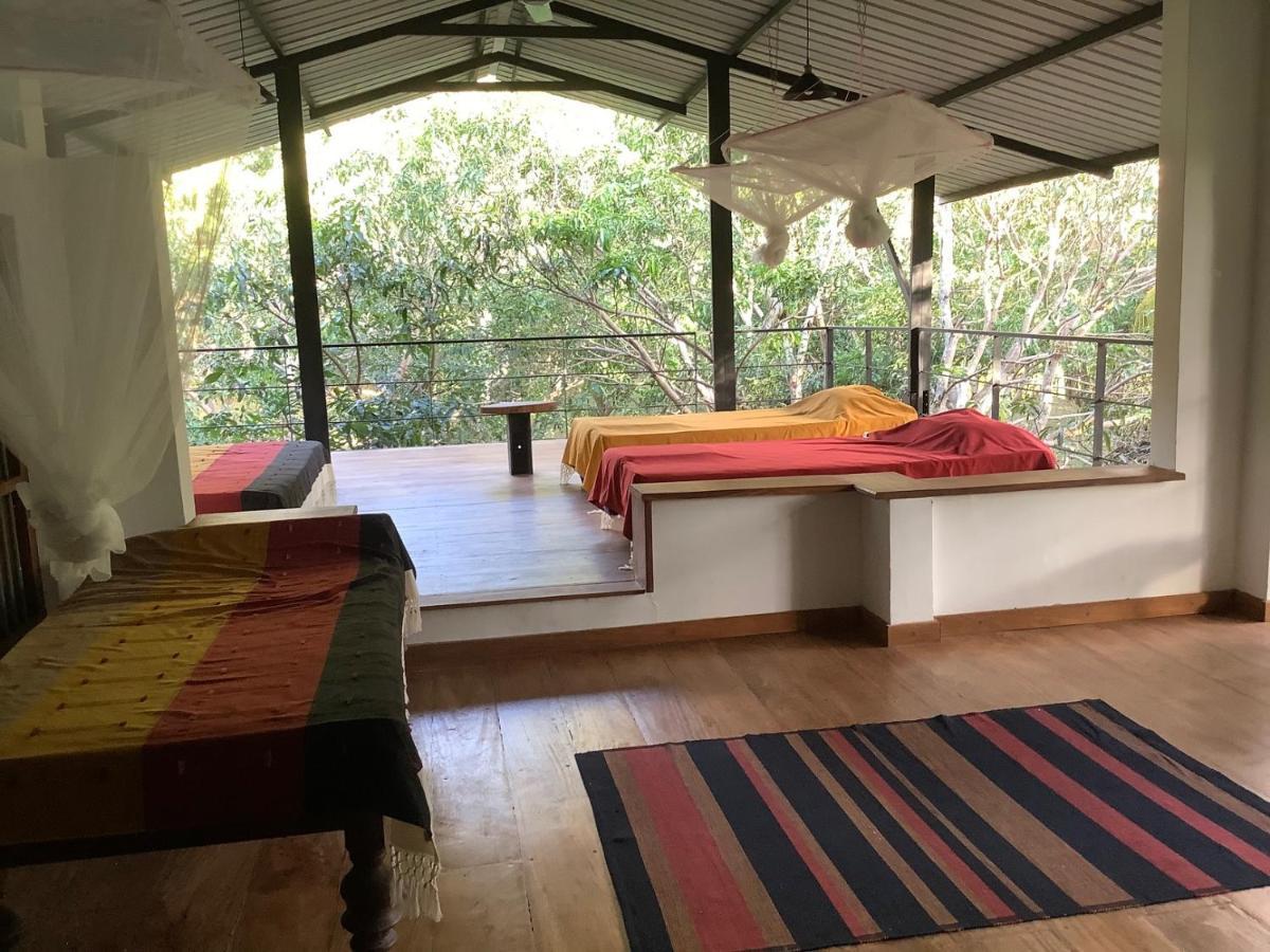 Mind Body And Soul Hotel Dambulla Ngoại thất bức ảnh