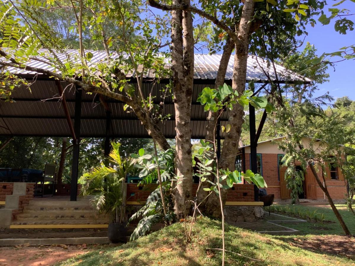 Mind Body And Soul Hotel Dambulla Ngoại thất bức ảnh