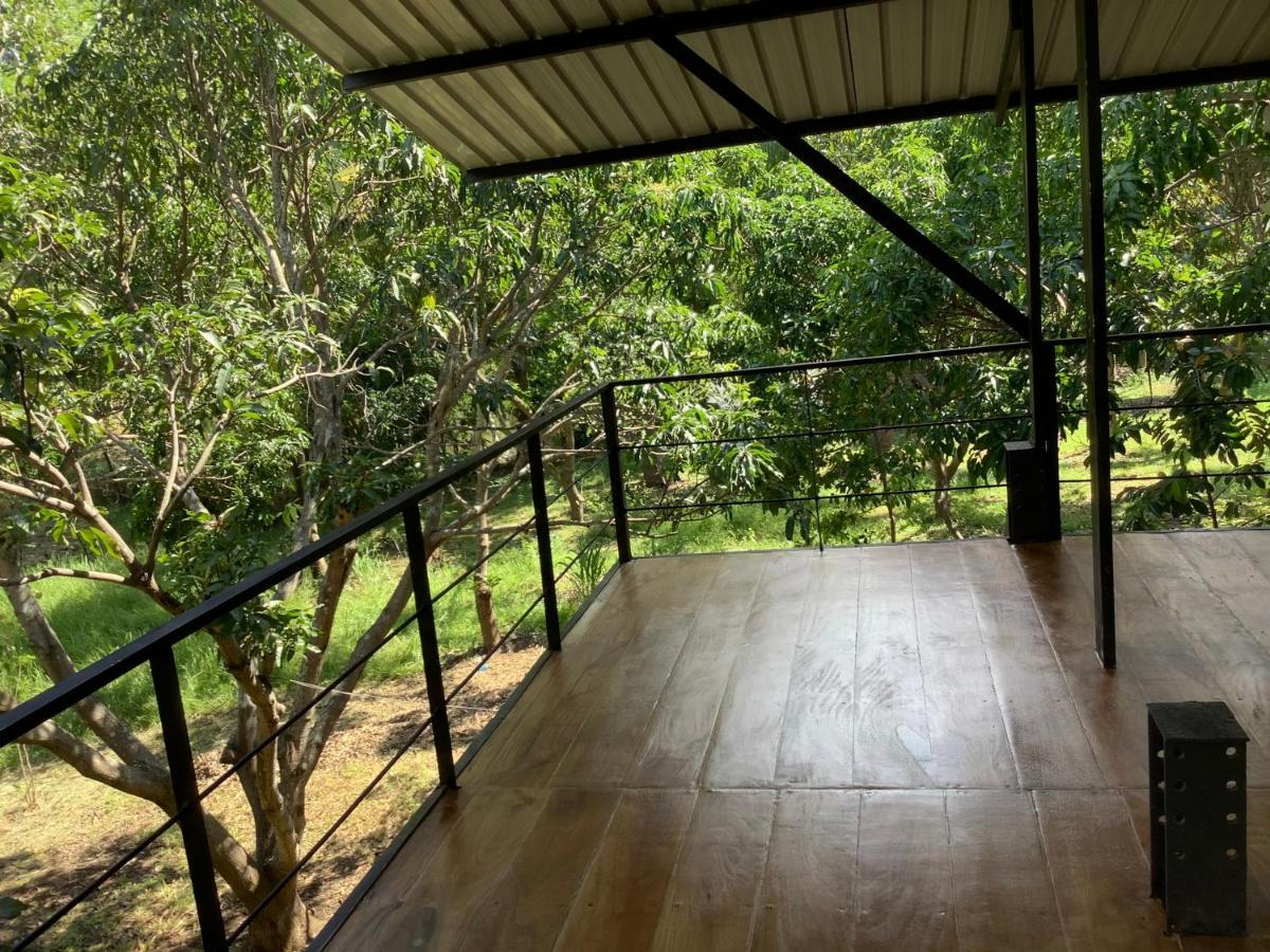 Mind Body And Soul Hotel Dambulla Ngoại thất bức ảnh