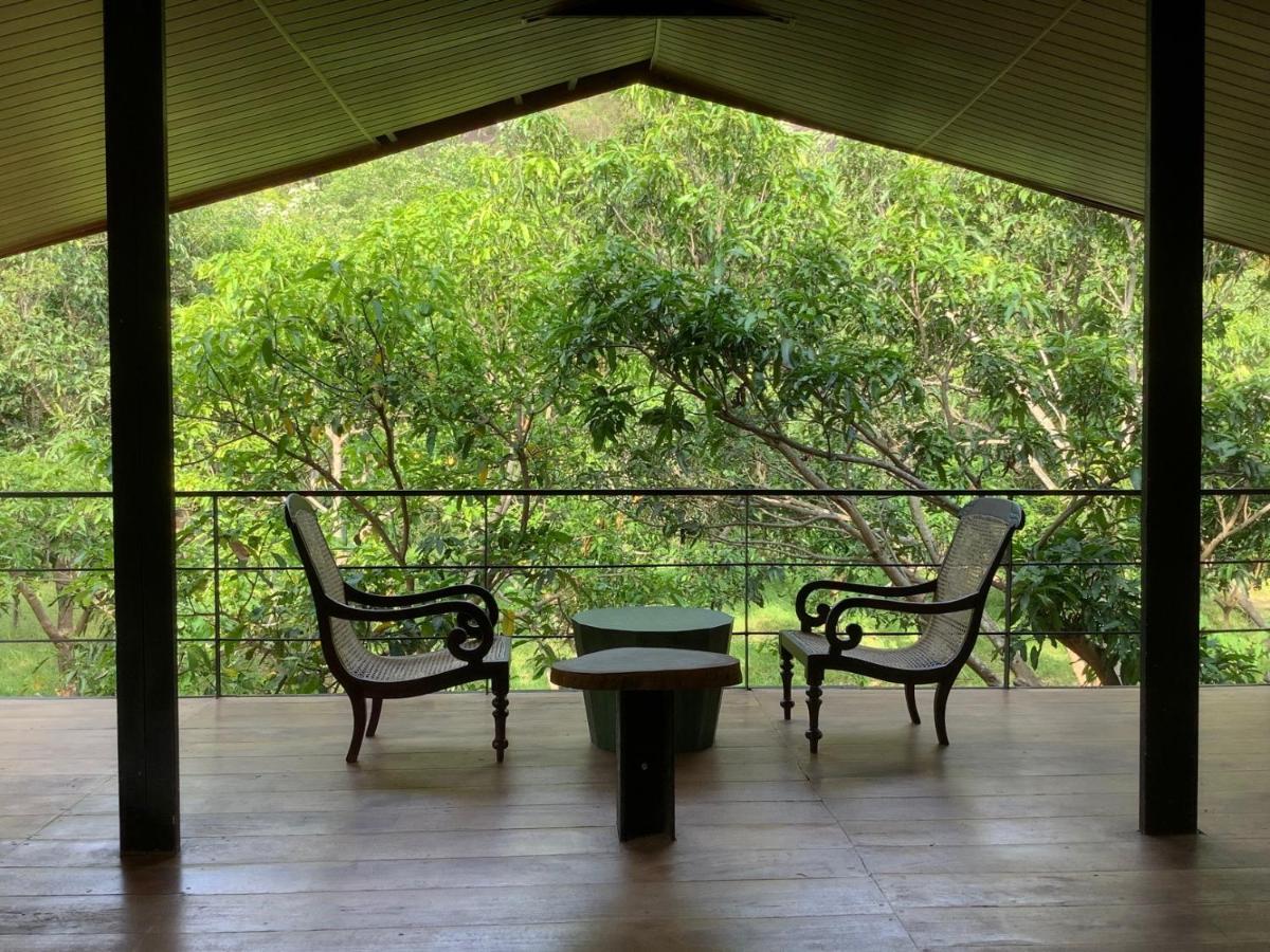 Mind Body And Soul Hotel Dambulla Ngoại thất bức ảnh