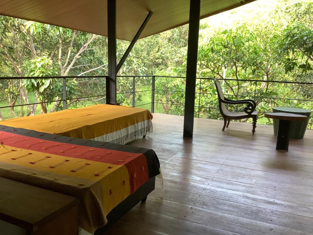 Mind Body And Soul Hotel Dambulla Ngoại thất bức ảnh