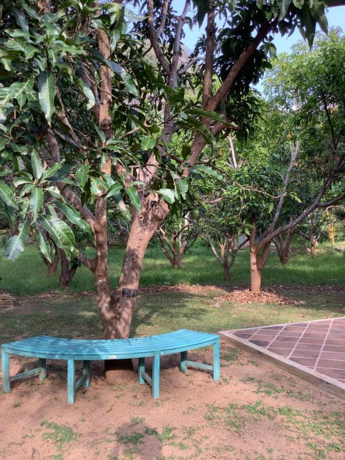 Mind Body And Soul Hotel Dambulla Ngoại thất bức ảnh